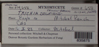 Image Associated With the Occurence